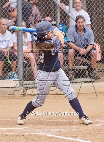 Thumbnail 2 in Columbine @ Chatfield photogallery.