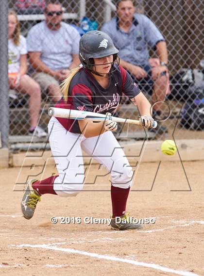 Thumbnail 2 in Columbine @ Chatfield photogallery.