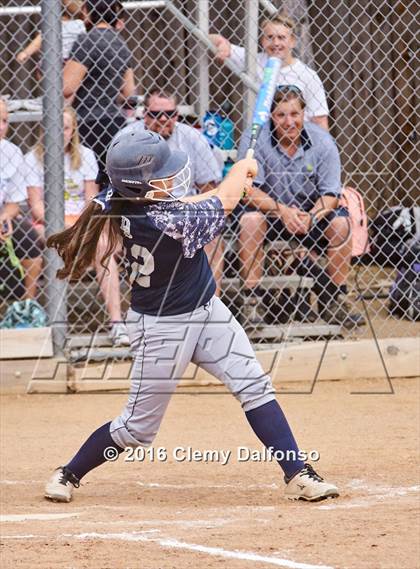Thumbnail 1 in Columbine @ Chatfield photogallery.