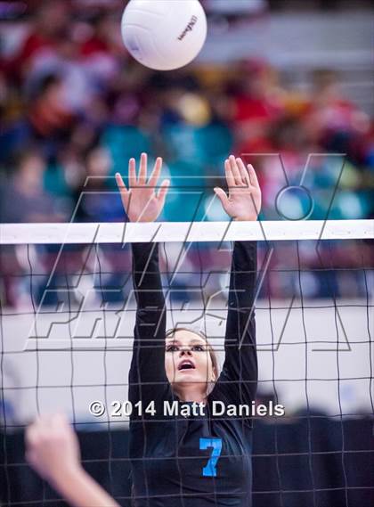 Thumbnail 1 in Norwood vs. Sangre de Cristo (CHSAA 1A Playoff) photogallery.