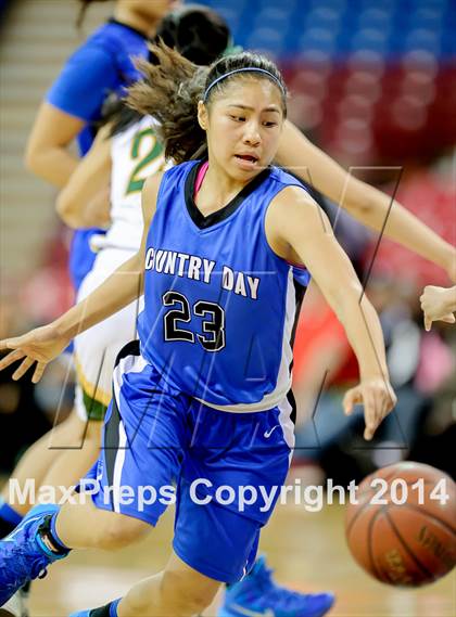 Thumbnail 1 in Pinewood vs. La Jolla Country Day (CIF D5 State Final) photogallery.
