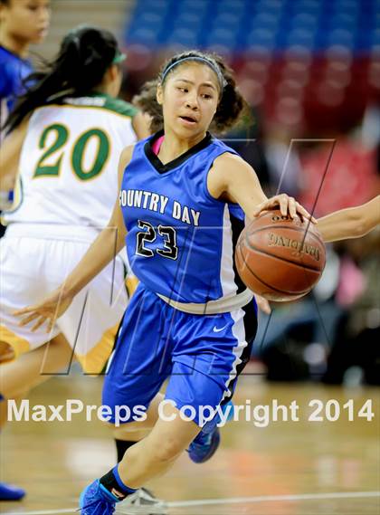 Thumbnail 3 in Pinewood vs. La Jolla Country Day (CIF D5 State Final) photogallery.