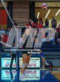 Photo from the gallery "Marcus @ Allen"