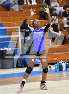 Photo from the gallery "Saugus @ Quartz Hill"