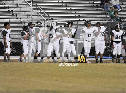 Thumbnail 3 in Gulf @ Pasco photogallery.