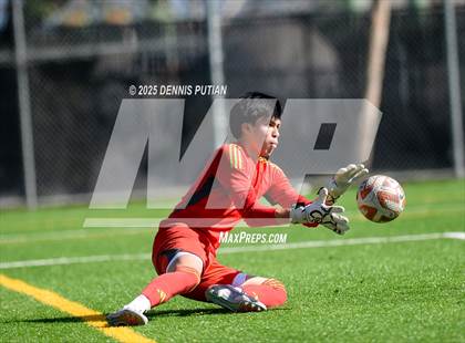 Thumbnail 2 in Los Altos @ Bellarmine College Prep (CCS D1 Quarterfinals) photogallery.