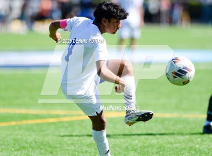 Thumbnail 3 in Los Altos @ Bellarmine College Prep (CCS D1 Quarterfinals) photogallery.