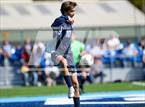 Photo from the gallery "Los Altos @ Bellarmine College Prep (CCS D1 Quarterfinals)"