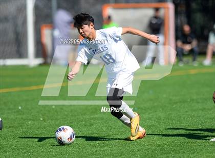 Thumbnail 1 in Los Altos @ Bellarmine College Prep (CCS D1 Quarterfinals) photogallery.