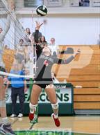 Photo from the gallery "Marin Academy @ Archie Williams"