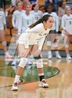 Photo from the gallery "Marin Academy @ Archie Williams"