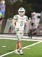 Photo from the gallery "Newman @ Many"