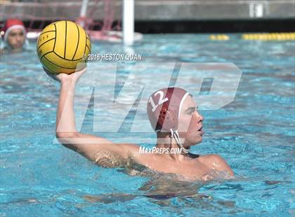 Thumbnail 2 in Poly @ Esperanza photogallery.