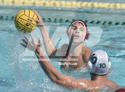 Thumbnail 1 in Poly @ Esperanza photogallery.
