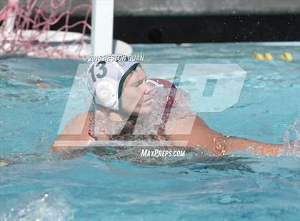 Thumbnail 3 in Poly @ Esperanza photogallery.