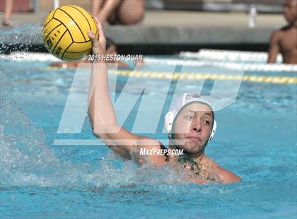 Thumbnail 3 in Poly @ Esperanza photogallery.