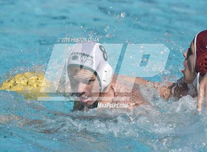 Thumbnail 3 in Poly @ Esperanza photogallery.