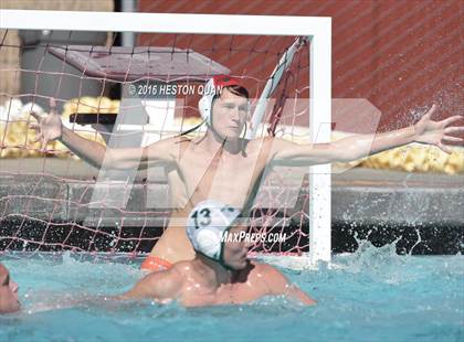 Thumbnail 3 in Poly @ Esperanza photogallery.
