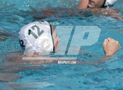 Thumbnail 2 in Poly @ Esperanza photogallery.
