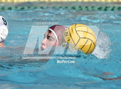 Thumbnail 3 in Poly @ Esperanza photogallery.