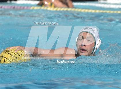 Thumbnail 1 in Poly @ Esperanza photogallery.