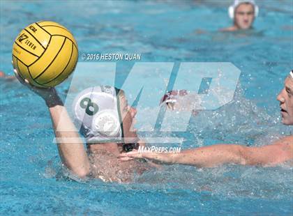 Thumbnail 2 in Poly @ Esperanza photogallery.