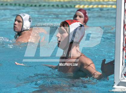 Thumbnail 3 in Poly @ Esperanza photogallery.