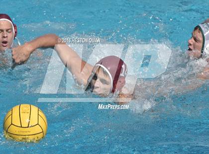 Thumbnail 1 in Poly @ Esperanza photogallery.