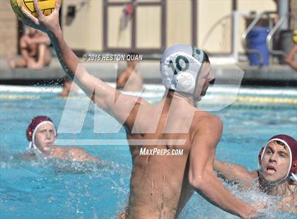 Thumbnail 1 in Poly @ Esperanza photogallery.