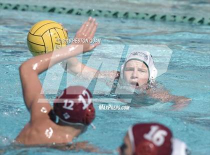 Thumbnail 2 in Poly @ Esperanza photogallery.