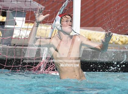 Thumbnail 2 in Poly @ Esperanza photogallery.