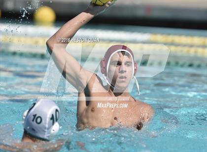 Thumbnail 2 in Poly @ Esperanza photogallery.
