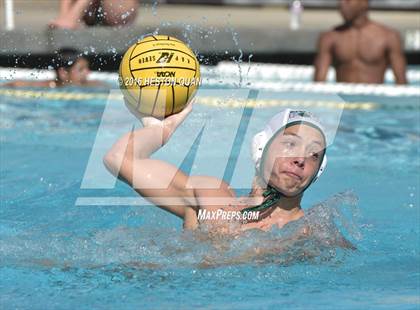 Thumbnail 1 in Poly @ Esperanza photogallery.
