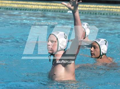 Thumbnail 2 in Poly @ Esperanza photogallery.