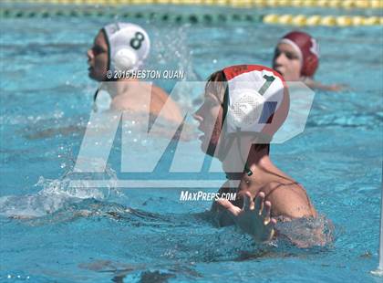 Thumbnail 1 in Poly @ Esperanza photogallery.