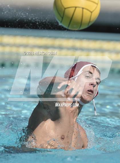 Thumbnail 2 in Poly @ Esperanza photogallery.