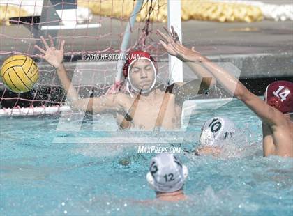 Thumbnail 3 in Poly @ Esperanza photogallery.