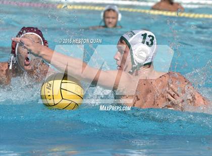 Thumbnail 2 in Poly @ Esperanza photogallery.