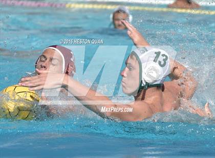 Thumbnail 3 in Poly @ Esperanza photogallery.