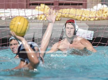 Thumbnail 3 in Poly @ Esperanza photogallery.