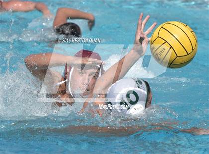 Thumbnail 2 in Poly @ Esperanza photogallery.
