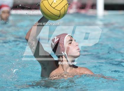 Thumbnail 3 in Poly @ Esperanza photogallery.