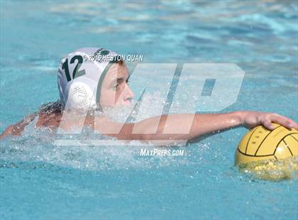 Thumbnail 1 in Poly @ Esperanza photogallery.
