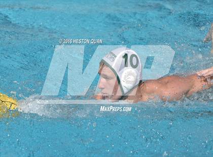 Thumbnail 3 in Poly @ Esperanza photogallery.
