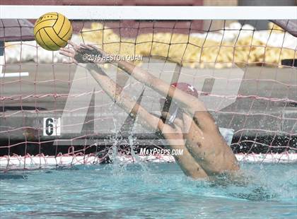 Thumbnail 3 in Poly @ Esperanza photogallery.