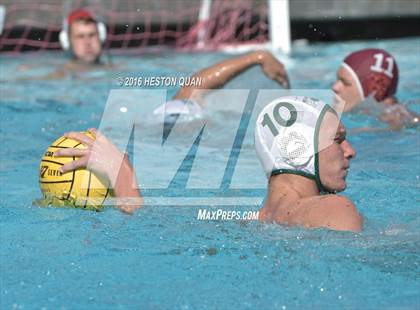 Thumbnail 1 in Poly @ Esperanza photogallery.