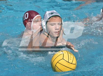 Thumbnail 3 in Poly @ Esperanza photogallery.