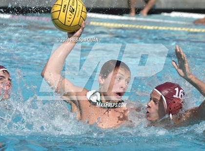 Thumbnail 2 in Poly @ Esperanza photogallery.