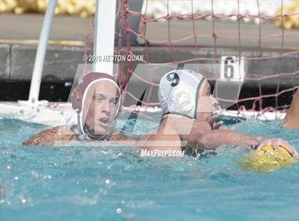 Thumbnail 2 in Poly @ Esperanza photogallery.