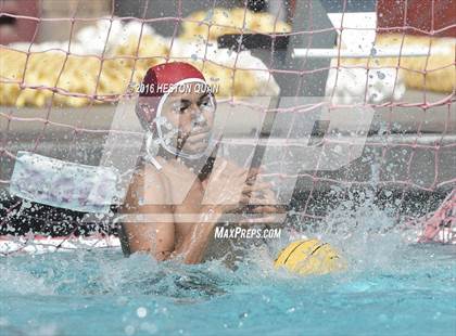 Thumbnail 3 in Poly @ Esperanza photogallery.